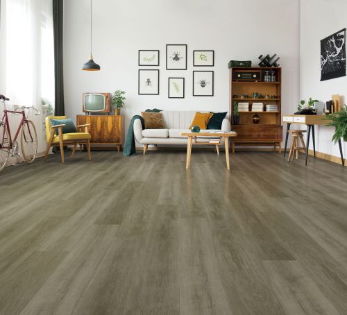 Stella Oyster Grey